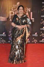Kiron Rao at Colors Golden Petal Awards 2013 in BKC, Mumbai on 14th Dec 2013
